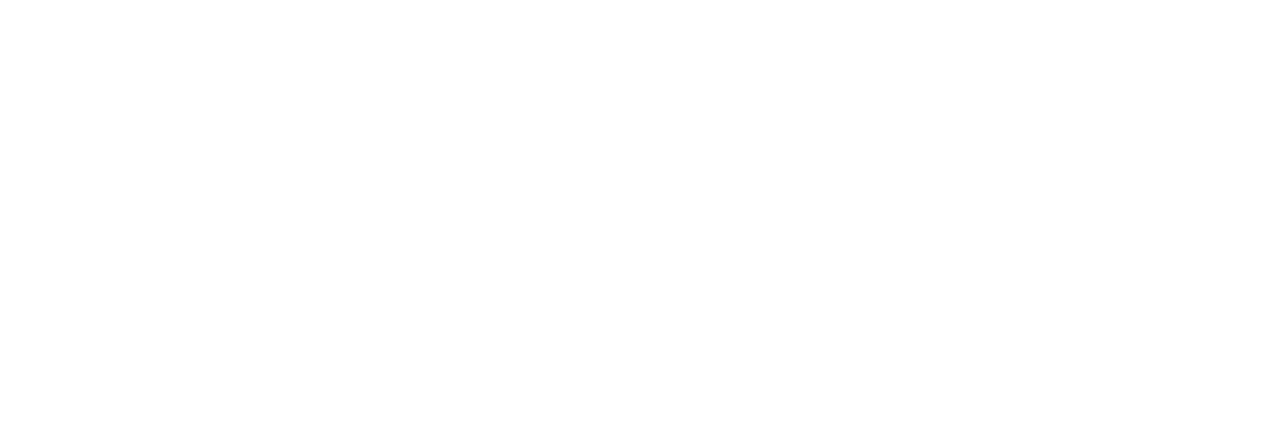 V2D Inc.